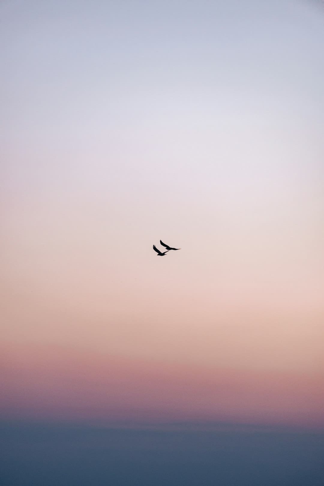 https://img0.utuku.imgcdc.com/398x0/ent/20250905/adbdbe83-2347-4121-a544-028585a6030e.jpg